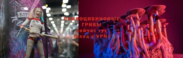 а пвп мука Армянск