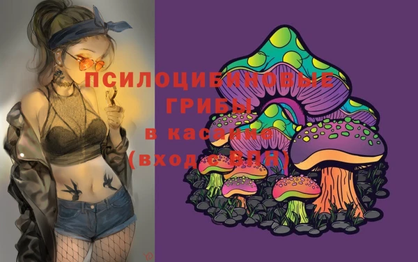 экстази Арсеньев