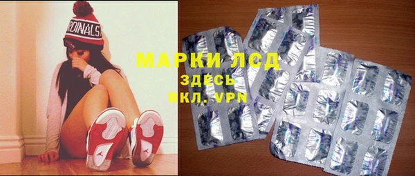 ГАЛЛЮЦИНОГЕННЫЕ ГРИБЫ Аркадак