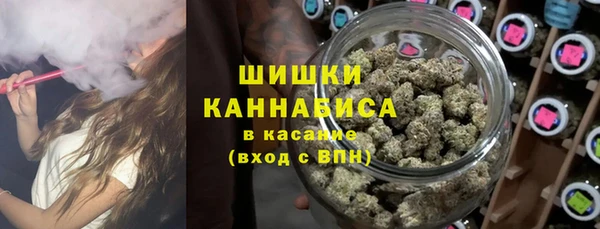 ГАЛЛЮЦИНОГЕННЫЕ ГРИБЫ Аркадак