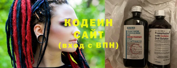 ГАЛЛЮЦИНОГЕННЫЕ ГРИБЫ Аркадак