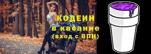 ГАЛЛЮЦИНОГЕННЫЕ ГРИБЫ Аркадак