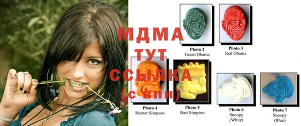 ГАЛЛЮЦИНОГЕННЫЕ ГРИБЫ Аркадак