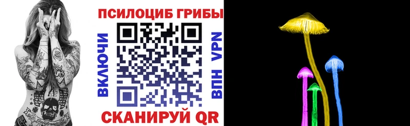 продажа наркотиков  Калязин  Псилоцибиновые грибы Psilocybine cubensis 